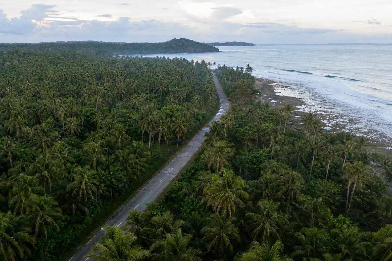 A palm-lined coastal road running through Siargao